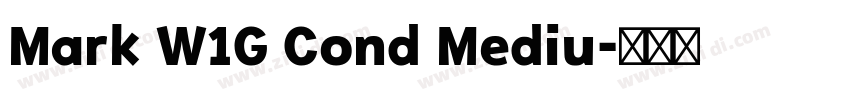 Mark W1G Cond Mediu字体转换